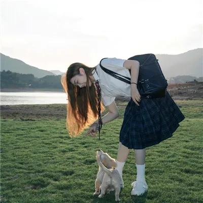 少年骑士